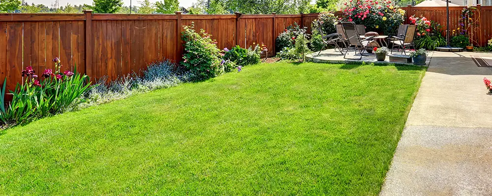 Landscaping